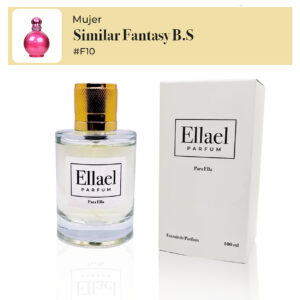 Inspirado en Fantasy B.S F#10